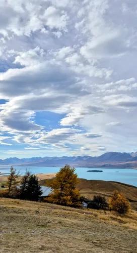Photo from New Zealand