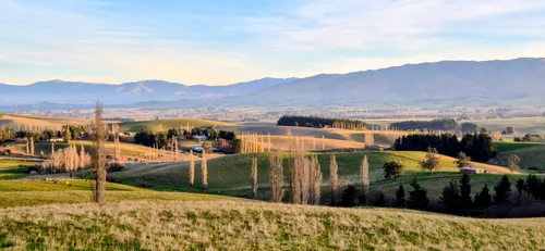 Photo from New Zealand