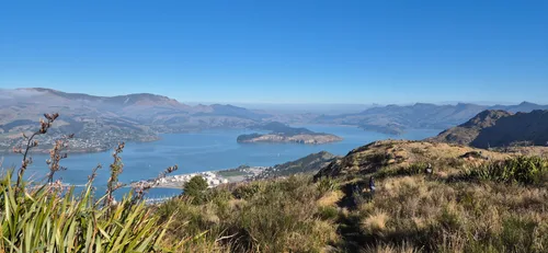 Photo from New Zealand