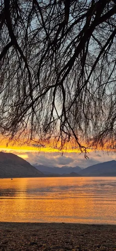 Photo from New Zealand