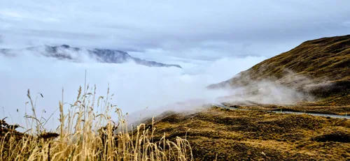 Photo from New Zealand