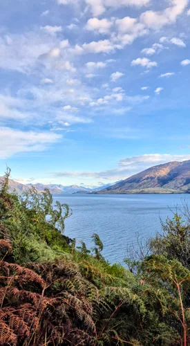 Photo from New Zealand