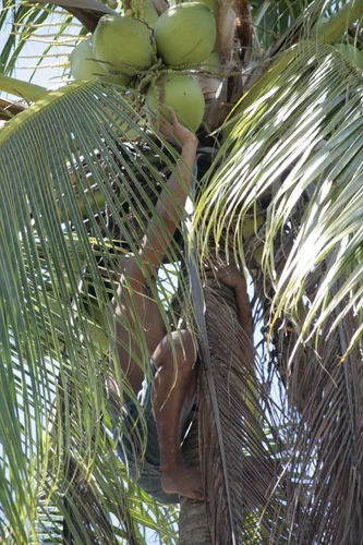 Photo from Philippines