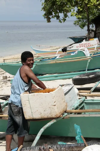 Photo from Philippines