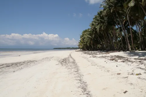Photo from Philippines