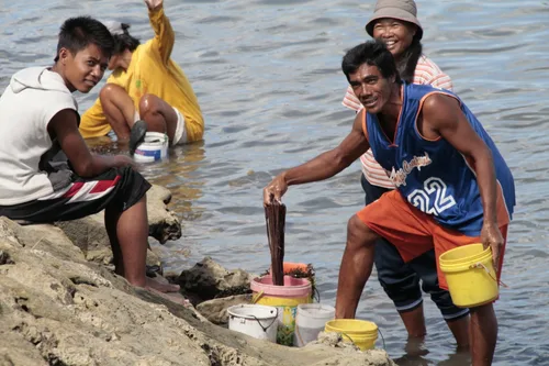 Photo from Philippines