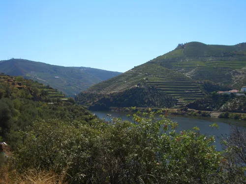 Photo from Portugal