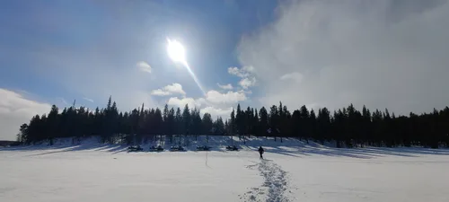 Photo from Sweden