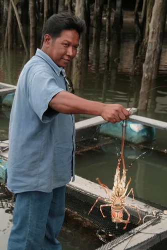 Photo from Thailand