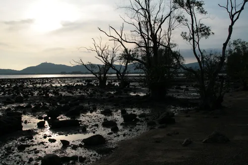 Photo from Thailand