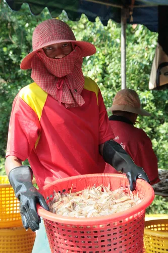 Photo from Thailand