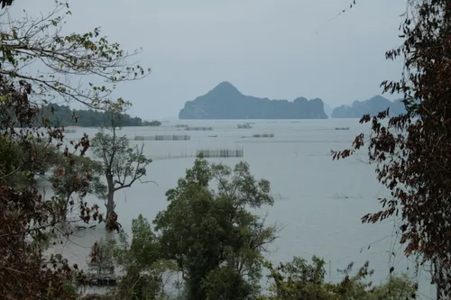 Photo from Thailand