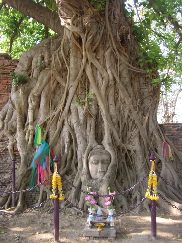 Photo from Thailand