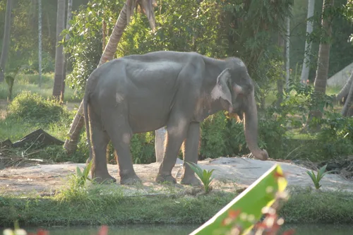 Photo from Thailand