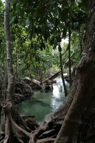 Photo from Thailand