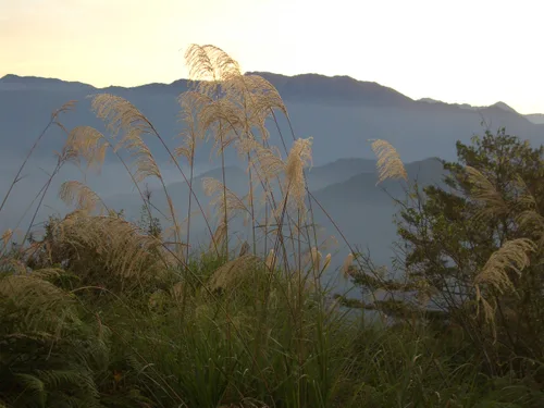 Photo from Taiwan