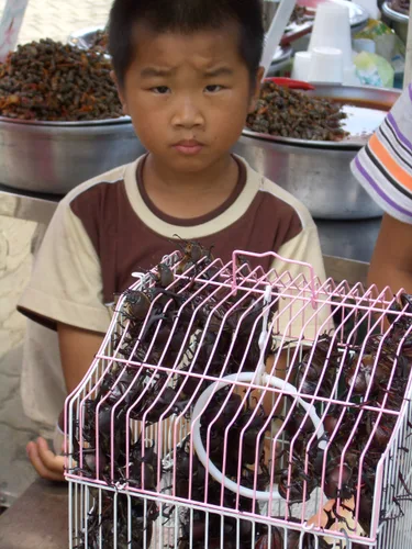 Photo from Taiwan
