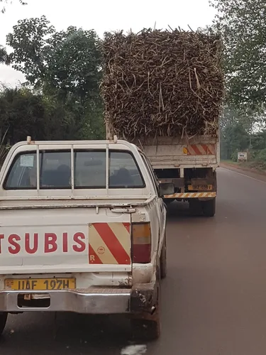 Photo from Uganda