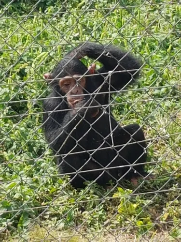 Photo from Uganda