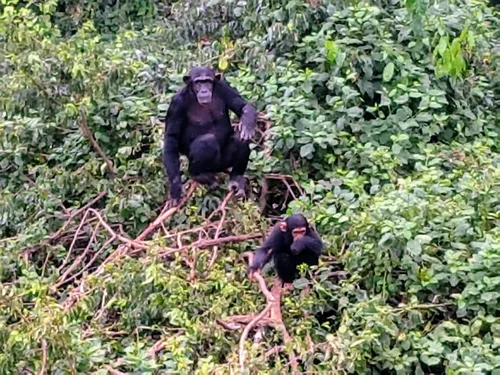 Photo from Uganda