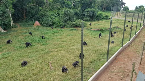 Photo from Uganda