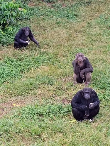 Photo from Uganda