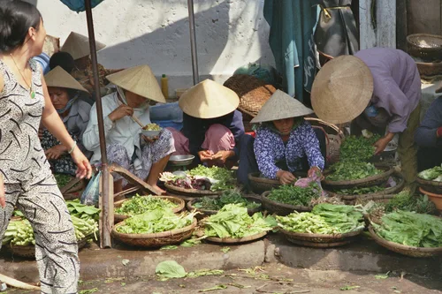 Photo from Vietnam