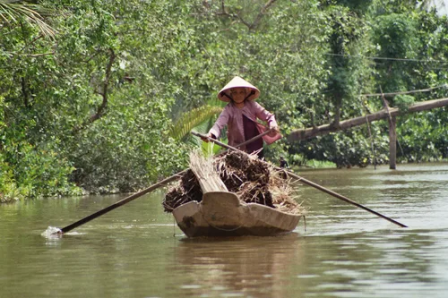 Photo from Vietnam