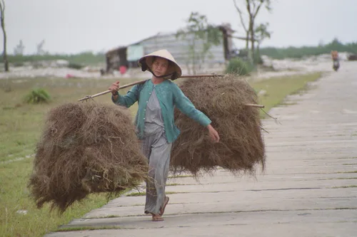 Photo from Vietnam