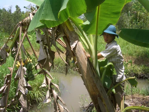 Photo from Vietnam