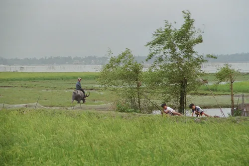 Photo from Vietnam