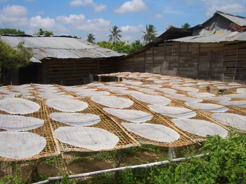 Photo from Vietnam