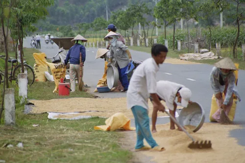 Photo from Vietnam