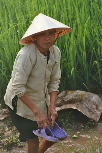 Photo from Vietnam