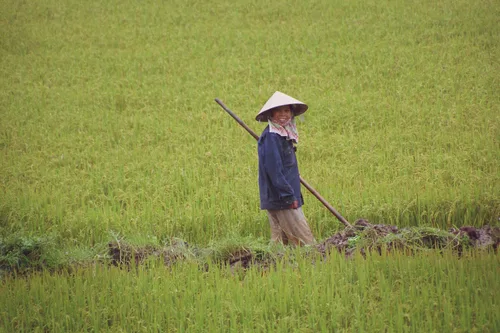 Photo from Vietnam