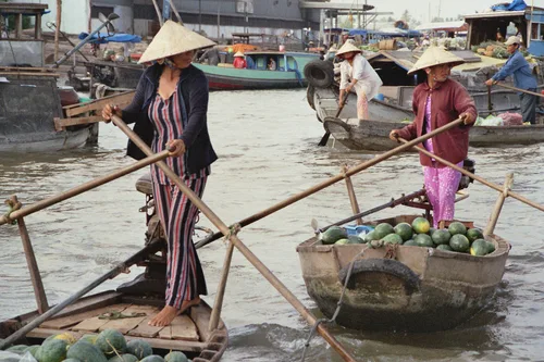 Photo from Vietnam