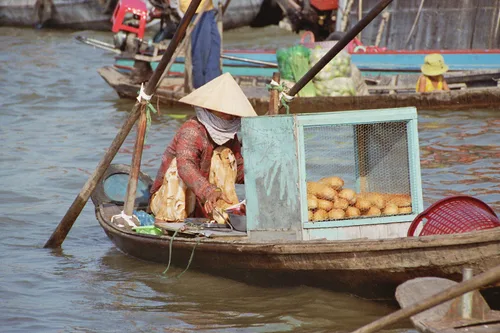 Photo from Vietnam