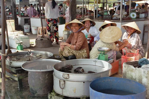 Photo from Vietnam