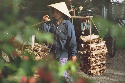 Photo from Vietnam