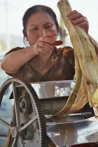 Photo from Vietnam