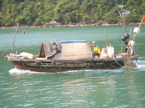 Photo from Vietnam