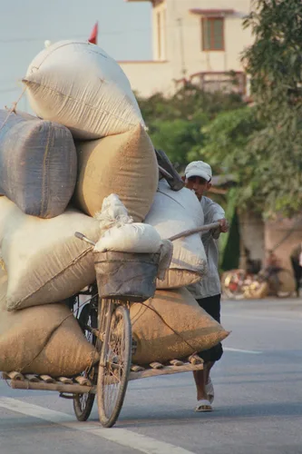 Photo from Vietnam