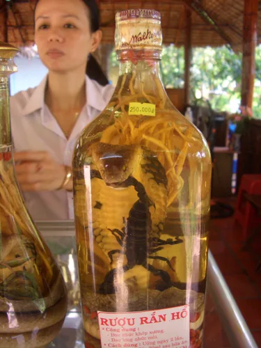 Photo from Vietnam