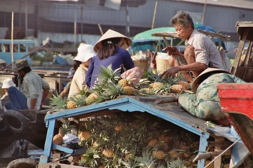 Photo from Vietnam