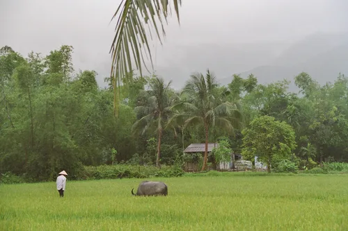 Photo from Vietnam