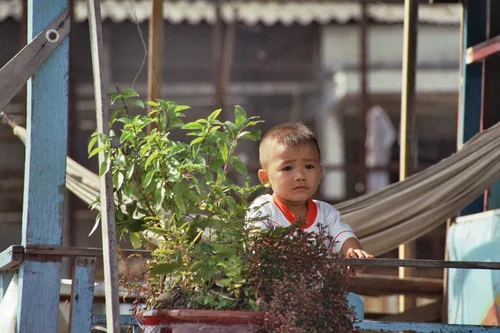 Photo from Vietnam