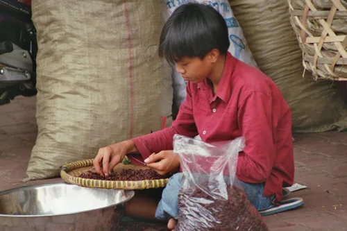 Photo from Vietnam