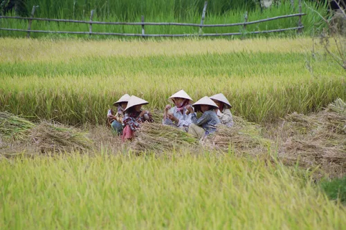 Photo from Vietnam