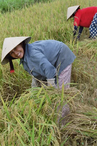 Photo from Vietnam