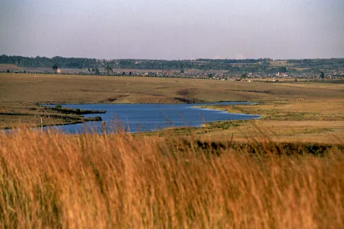 Photo from South Africa